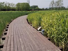 -永定河休闲森林公园