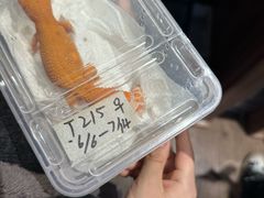 -酷以爬仙阁实体爬宠店·守宫·蜥蜴·专业繁育