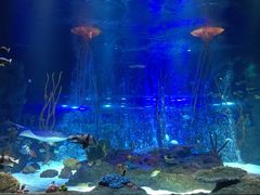 -沈阳海洋探索中心