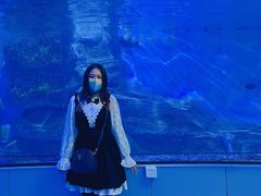 -泉城欧乐堡海洋极地世界