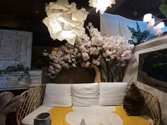 -怪兽炸鸡.轻沙拉(锦州店)