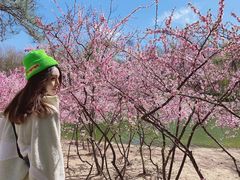 -大兴滨河森林公园