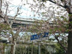 -南浦大桥长途旅游客运站