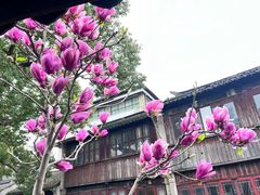 -锦溪古镇