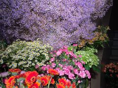 -春暖花开(西溪店)