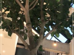 -大树餐厅(红旗街万达店)