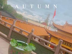 -龙音寺