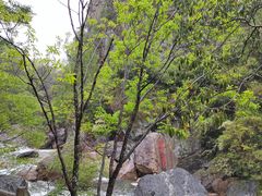 -黄山翡翠谷景区