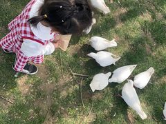 -南通洲际绿博园