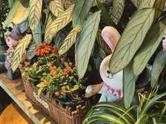 -萤火虫咖啡(后海店)