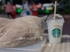 香草星冰乐-星巴克臻选(深圳卓悦中心店)