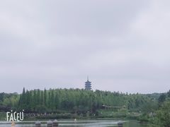 -宜兴龙背山森林公园
