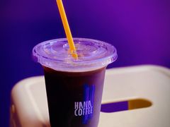 酸梅美式-HANA COFFEE(长寿路店)