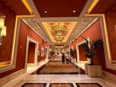 -拉斯维加斯永利酒店