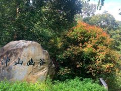 -广州白江湖森林公园