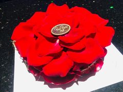 -PETIT PARIS 小巴黎(花园道店)