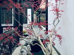 -金海华·华宴江南(斜塘店)
