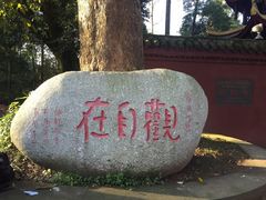 -峨眉山报国寺