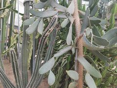 -南山植物园