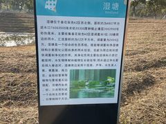 -春花秋色城市公园