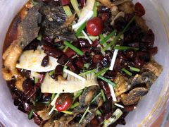 -老板恋上鱼(恒隆广场店)