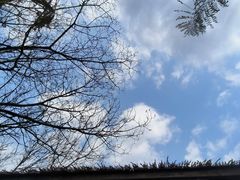 -石塘人家