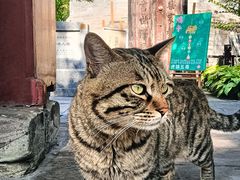 -正阳书局(西四南大街店)