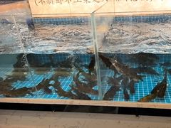 -福满我家大碗厨·湘菜(上海大厦店)