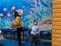 -中国宋庆龄青少年科技文化交流中心