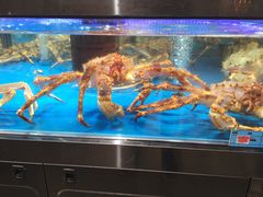 -盒马鲜生(观音桥店)