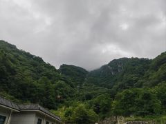 -牛背梁国家森林公园