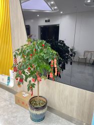 -杭州医巢医疗美容
