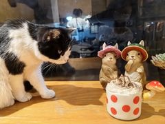 -萤火虫咖啡(后海店)