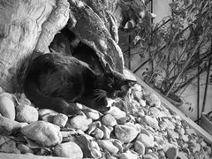 镇店之宝-泰堤坊(淡水体育馆店)