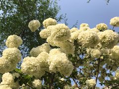 -大龙山(地铁站)