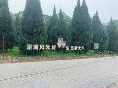 -大兴滨河森林公园