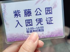 -嘉定紫藤园
