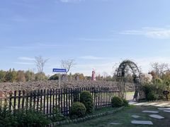 -同里国家湿地公园