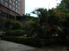 -元素自助餐厅·生蚝·海鲜·刺身(萝岗汇华希尔顿逸林酒店)