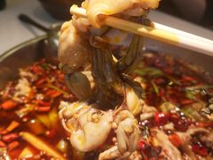 味之绝美蛙-味之绝美蛙鱼头火锅(高新店)