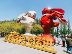 -黄海国家森林公园