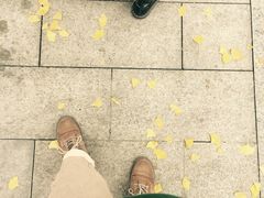 -西南民族大学南区(双流校区)