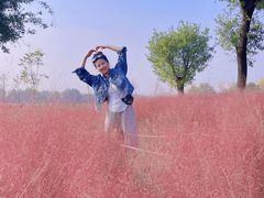 -汉长安城未央宫国家考古遗址公园