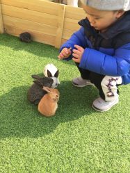 -萌宠亲子动物乐园(槐房万达店)