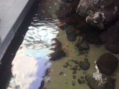 -泉乐坊步行街(烟酒特产平价超市店)