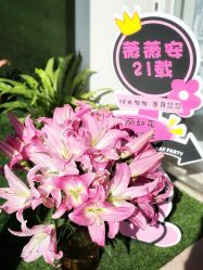 -薇薇安花系SPA