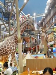 -卡通尼·Safari非洲探索乐园·生日会(金桥国际商业广场店)