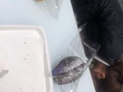 -北上海大酒店-北鸥西餐厅