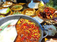 -阳阳老火锅(小南门店)