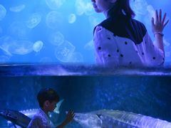 -左海海底世界